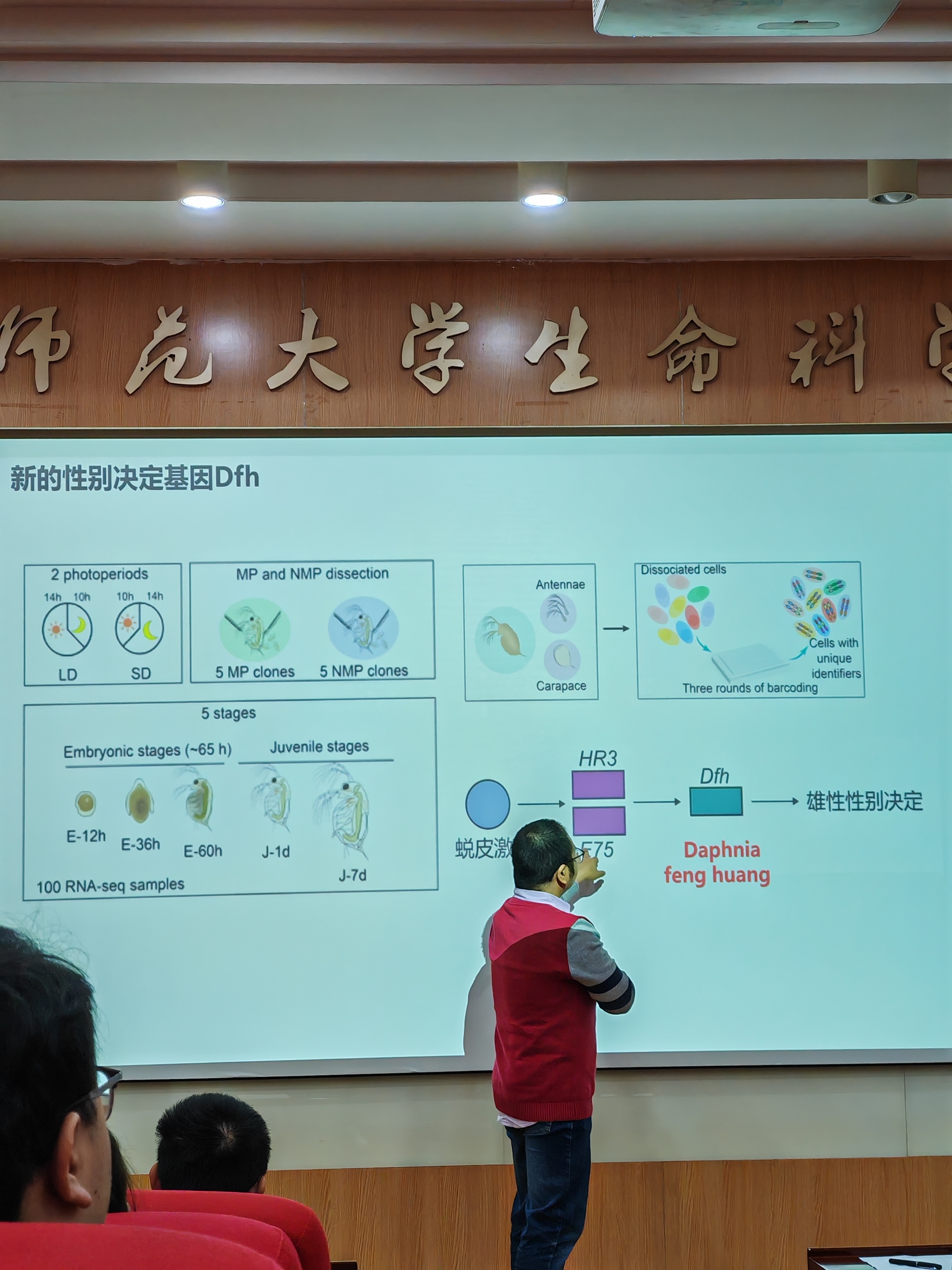 课题组动态配图